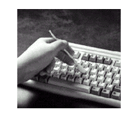 3" Foam Tipped Applicator, Polypropylene Shaft