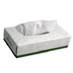 Facial Tissue 100-2Ply Envision, 30/100's