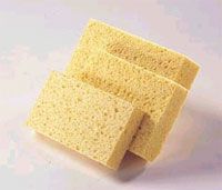 Medium Cellulose Sponge